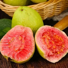 Load image into Gallery viewer, 🔥Hot Sale💚 Organic Guava Seeds🌱 Easy Grow