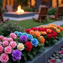 Load image into Gallery viewer, 🎁Last Day Promotion 49% OFF🔥100 Mix Climbing Rose Multiflora Seeds for Planting Outdoors Fragrant Butterfly Flower Seeds