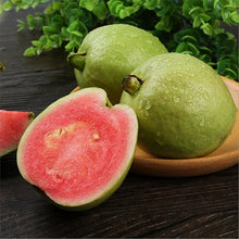 Load image into Gallery viewer, 🔥Hot Sale💚 Organic Guava Seeds🌱 Easy Grow