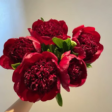 Load image into Gallery viewer, 🌺THE QUEEN OF FLOWERS—DOUBLE PETALED PIANI