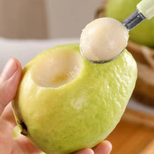 Load image into Gallery viewer, 🔥Hot Sale💚 Organic Guava Seeds🌱 Easy Grow